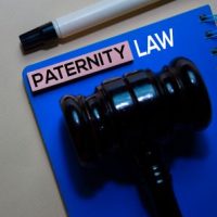 PaternityLaw PaternityLaw